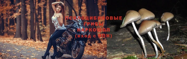 соль курить ск Армянск