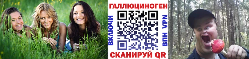 Галлюциногенные грибы GOLDEN TEACHER  MEGA онион  Лесозаводск  купить  