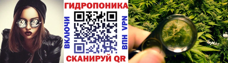 дарнет шоп Лесозаводск Бошки марихуана план